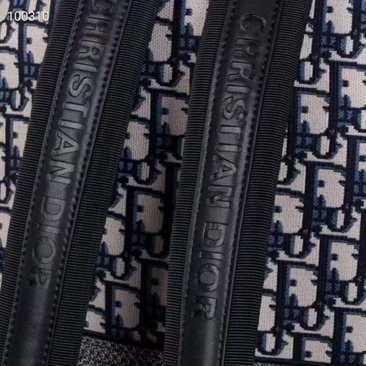 디올 오블리크 백팩