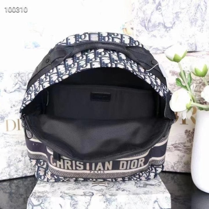 디올 오블리크 백팩